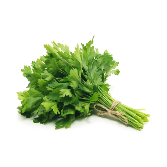 PARSLEY ITALIAN CT