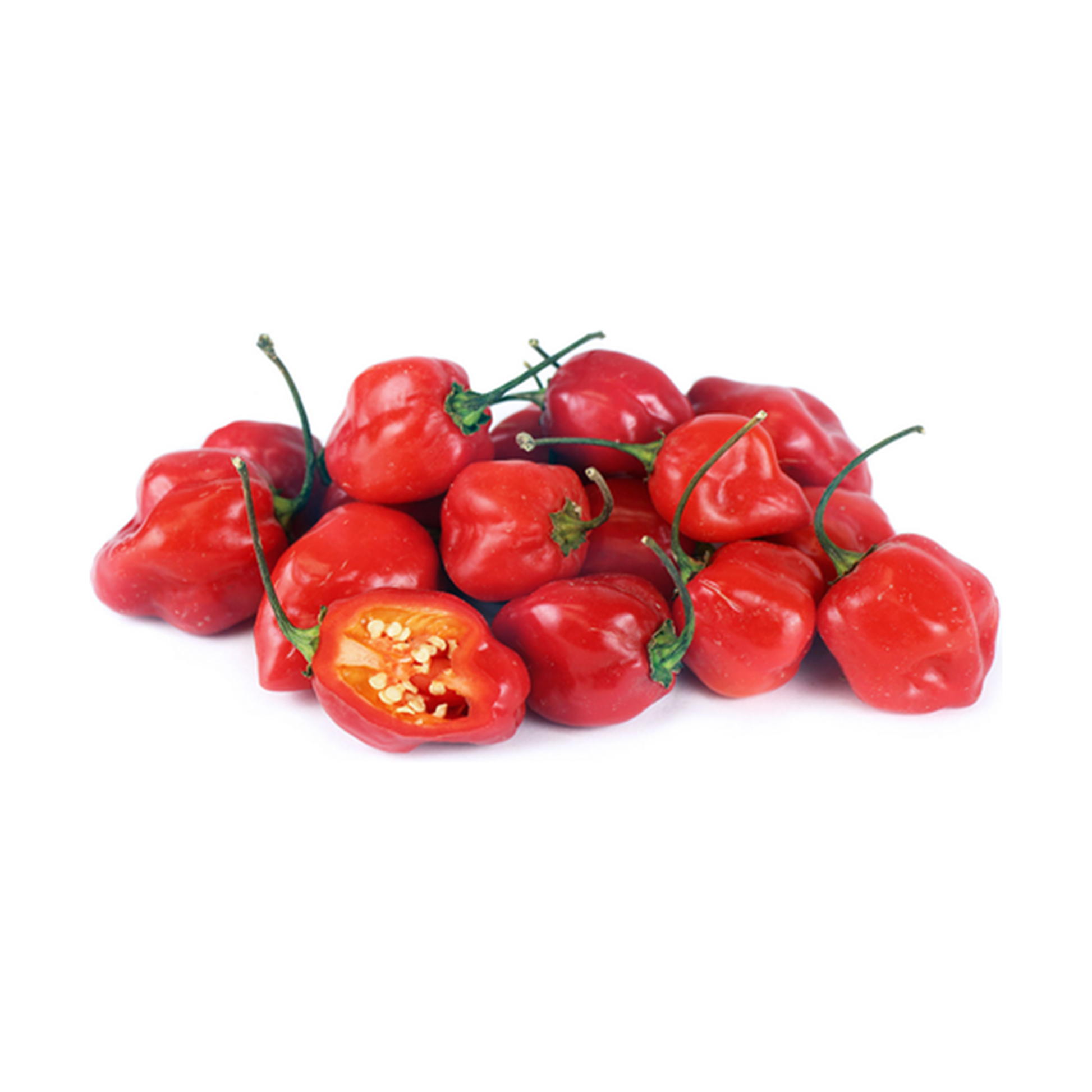 HABANERO RED VishalBazar